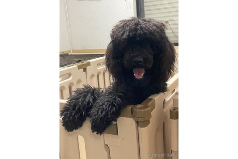 ちゃん1枚目
